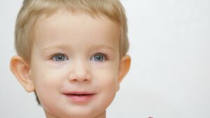 Grønnne regnskaber bliver formentligt et krav for investorer, investeringsforeninger og pensionskasser i hele verden